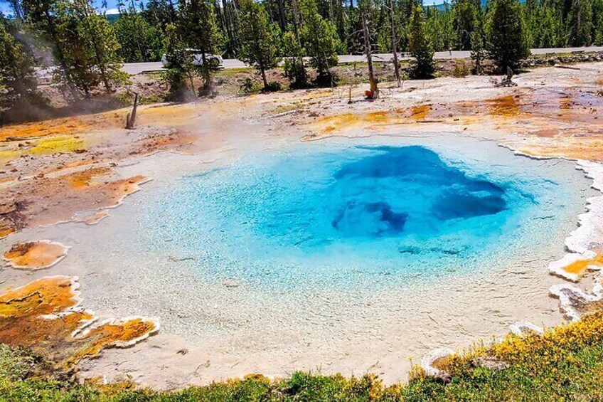 From Bozeman Yellowstone Full Day Tour Lower Loop