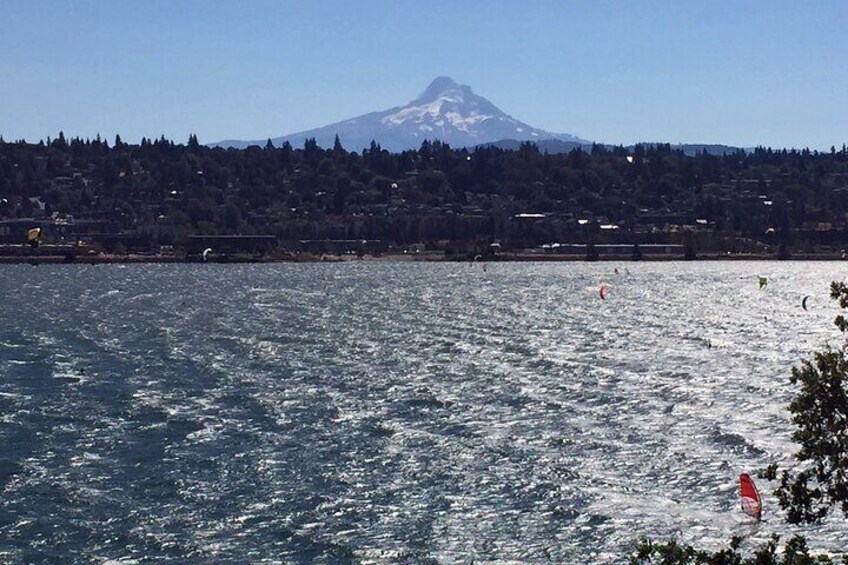 Columbia Valley and Columbia Gorge Wine Tasting
