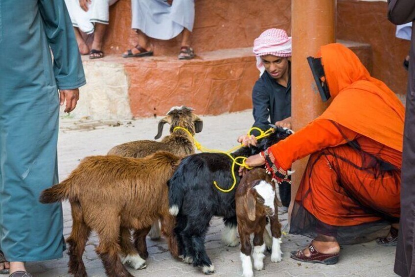 4 Days-3 Nights Private Oman Tour Package