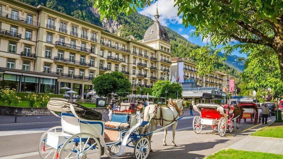 Private Lucerne and Interlaken Tour by Car and Minivan