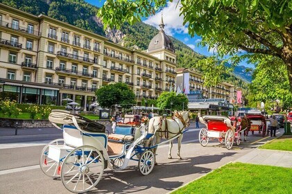 Zurich: Lucerne and Interlaken Private day tour