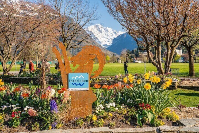 Private Lucerne and Interlaken Tour by Car and Minivan