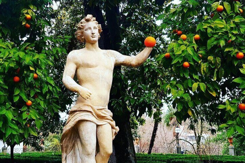Campo de los Martyres