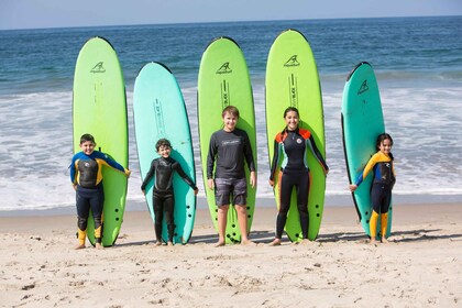 Los Angeles: Private Surfing Lesson with Equipment Rental