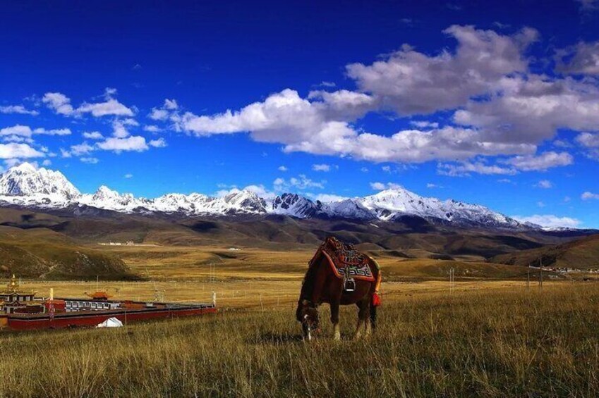 4 Day Balang Mountain Zesangla Gongga Sky Garden Sichuan Tour