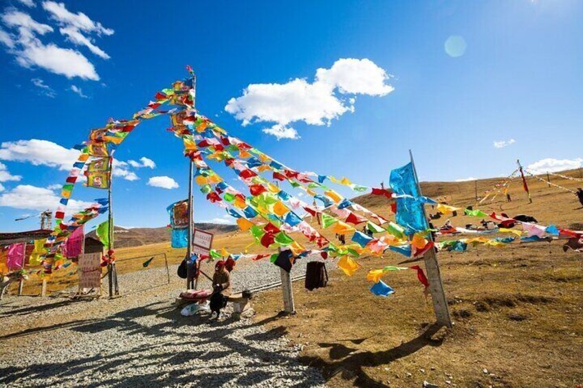 4 Day Balang Mountain Zesangla Gongga Sky Garden Sichuan Tour