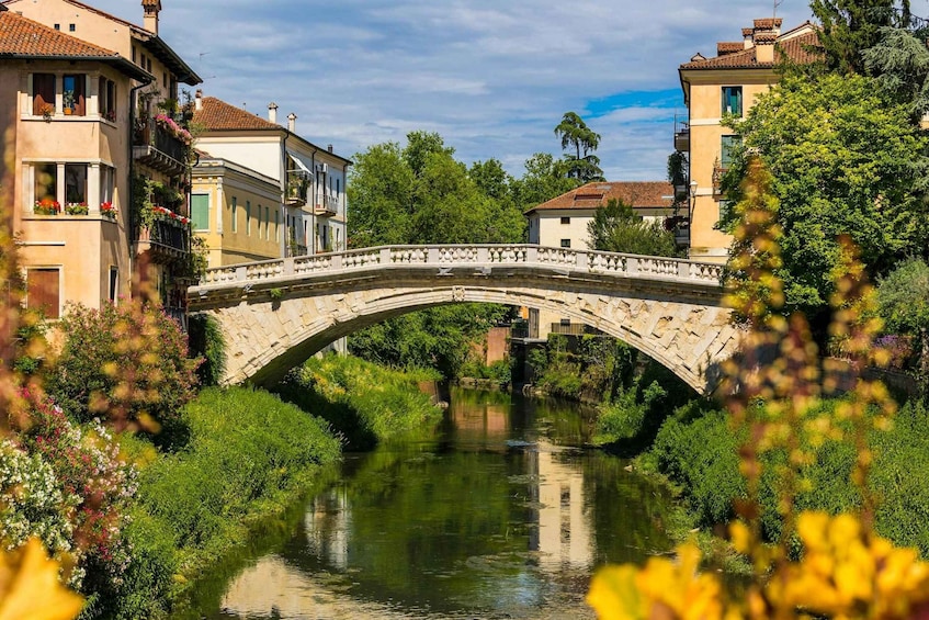 Picture 2 for Activity Vicenza: Secret City Guided Walking Tour