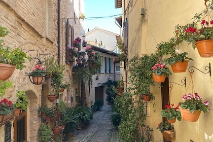 Splendid Spello Walking Tour