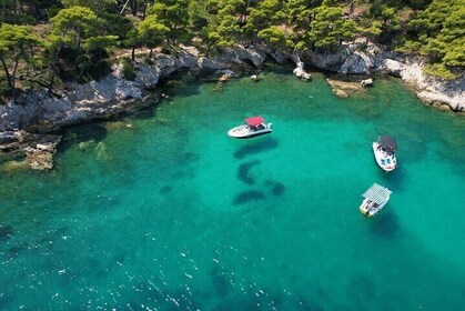 Dubrovnik tour Explore the BEST of Elaphiti Islands w/BLUE CAVE