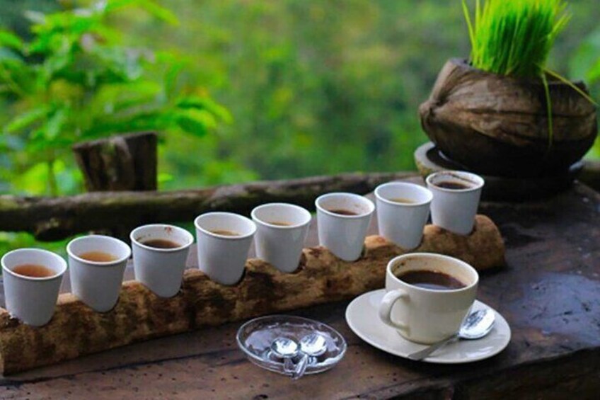 Best Ubud Tour Private Tour All Inclusive Package