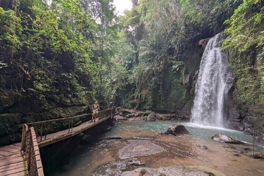 Best Ubud Tour Private Tour All Inclusive Package
