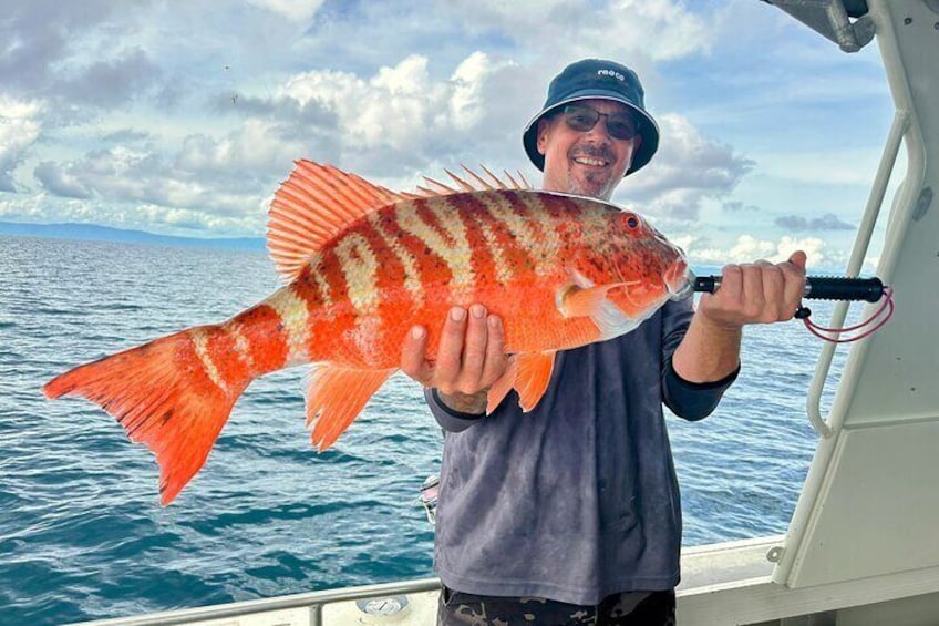 Outer Reef Fishing 5 hour Shared Charter maximum 5 guests