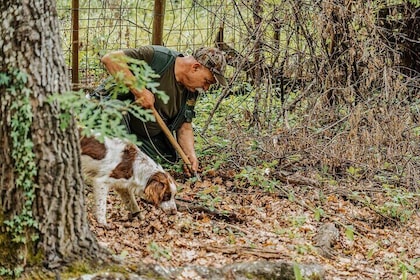 Truffle Hunting and Cooking Class in a Farm in Colle Val d'Elsa