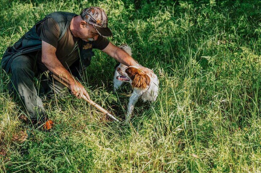 Truffle Hunting and Cooking Class in a Farm in Colle Val d'Elsa