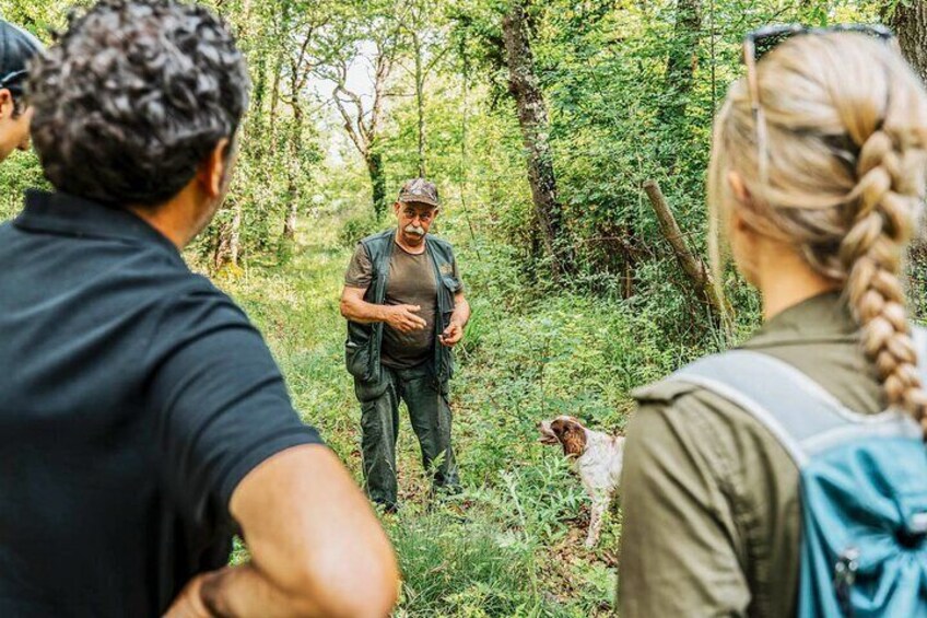 Truffle Hunting and Cooking Class in a Farm in Colle Val d'Elsa