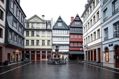 Private 2 hour Guided Walking Tour of Frankfurt