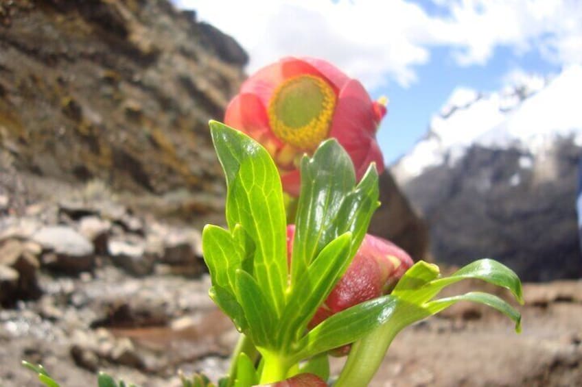 Adventure Mountainbike Trans Cordillera Blanca Huascaran Circuit 