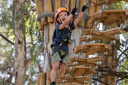 Aerial Fun & Ziplining for Our Littlest Adventurers in Salisbury