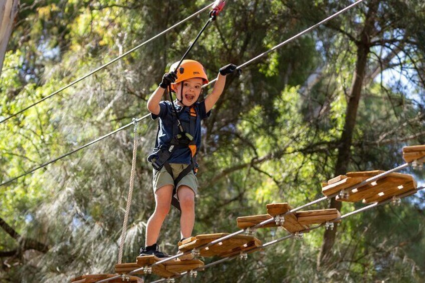 Aerial Fun & Ziplining for Our Littlest Adventurers in Salisbury