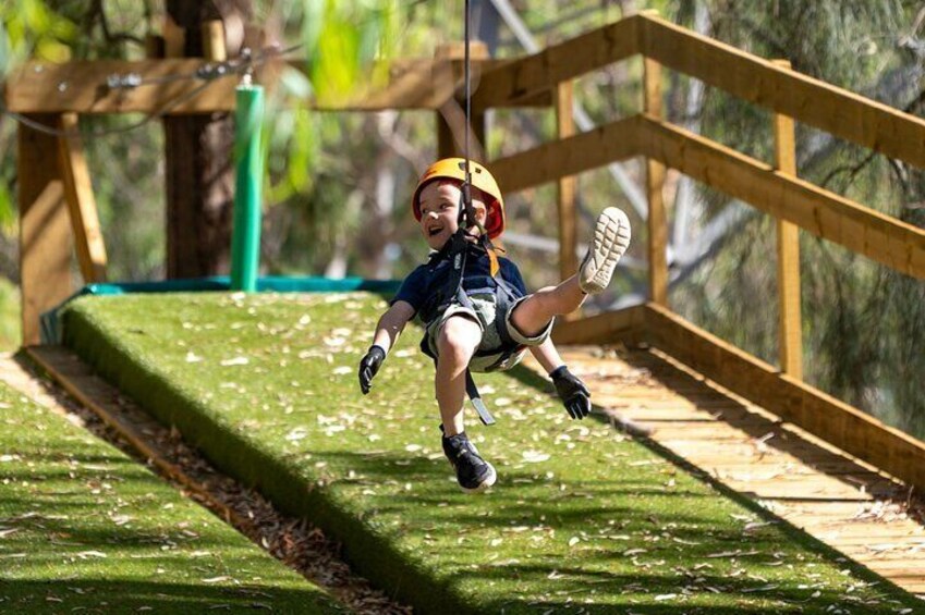 Aerial Fun & Ziplining for Our Littlest Adventurers in Salisbury