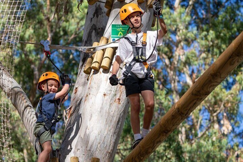 Aerial Fun & Ziplining for Our Littlest Adventurers in Salisbury