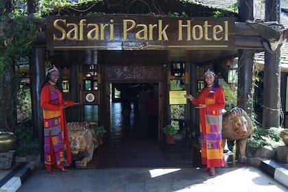 Birthday Dinner Surprise and Cat Dance at Safari Park Hotel