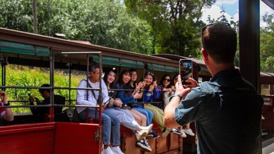 Puffing Billy Tour and Penguin Parade from Melbourne