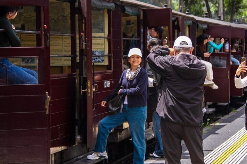 Puffing Billy Tour and Penguin Parade from Melbourne