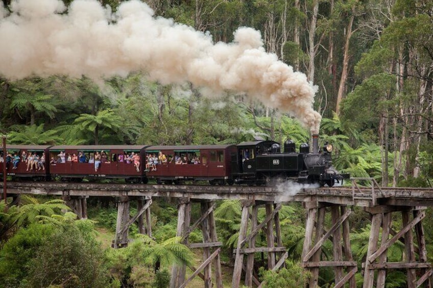 Puffing Billy Tour and Penguin Parade from Melbourne