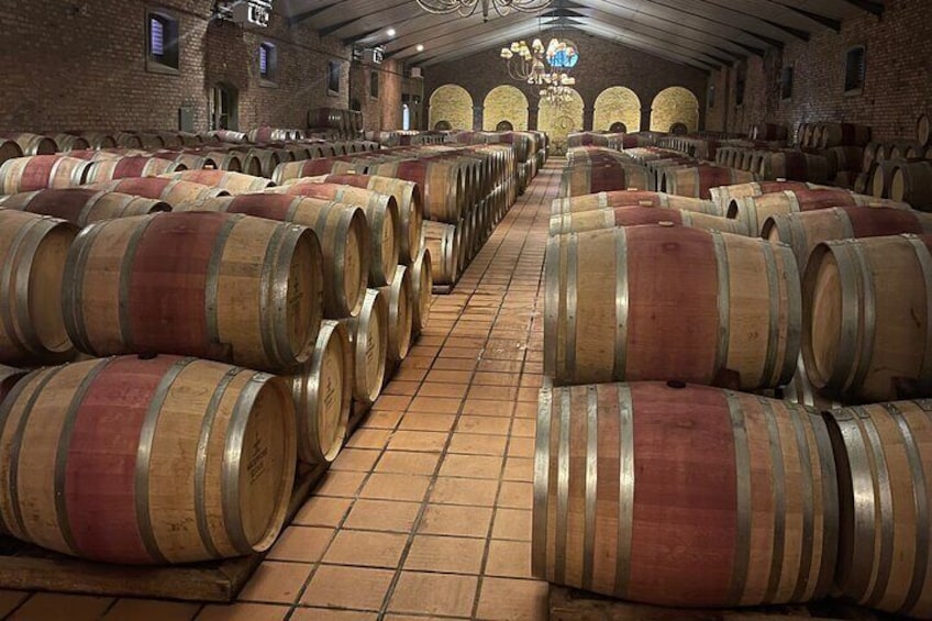 Private Tour: Full Day Wine Tasting in Cape Winelands