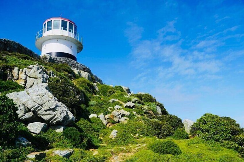 Small Group Tour: Penguins, Cape Point and Cape of Good Hope