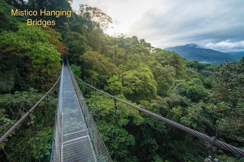 Private combo Hanging Bridges+Volcano Hike+Waterfall+Hot Springs
