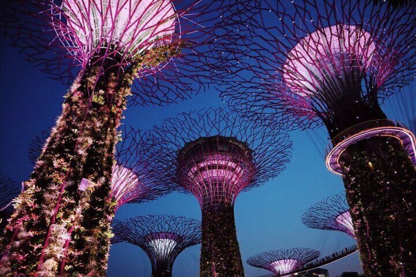 Gardens by the Bay, Singapore (Photo by Addie, pexels.com)