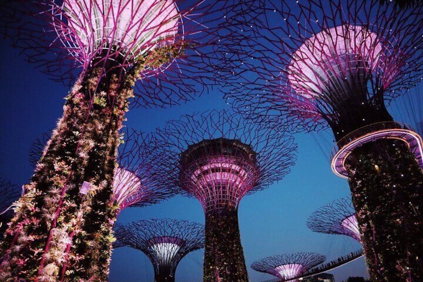 Gardens by the Bay, Singapore (Photo by Addie, pexels.com)