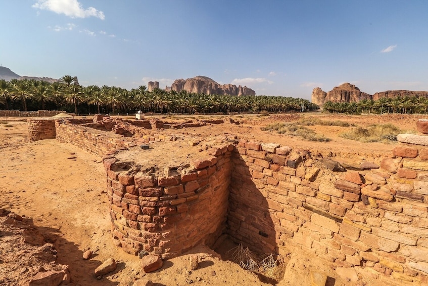 Half day Dadan & Jabal Ikmah Tour