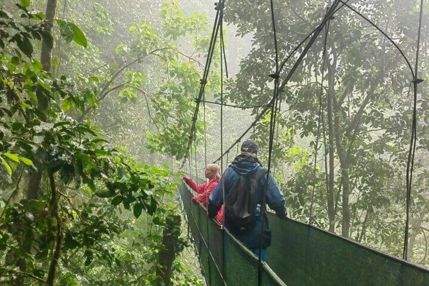 Adventure Awaits. Exploring lush jungles on hanging bridges.