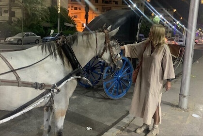 Discovering Luxor via Horse Carriage.