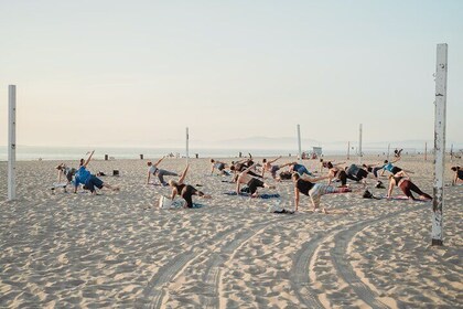 Daily Yoga Classes in Mallorca