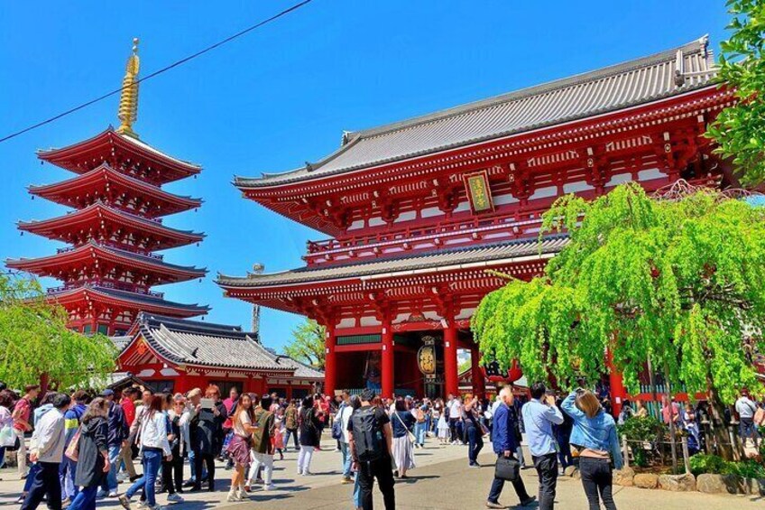 Asakusa History and Kappabashi Tool Street Tour