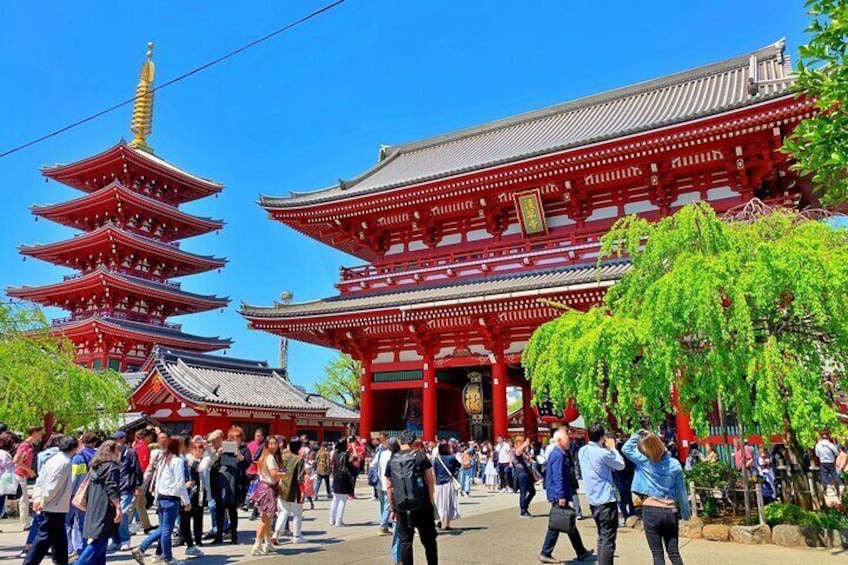 Asakusa History and Kappabashi Tool Street Tour