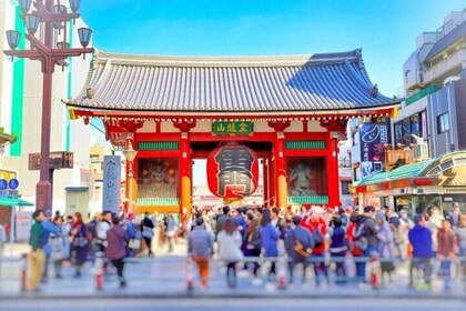 Tour de historia de Asakusa y calle Kappa (Kappabashi Dogugai)