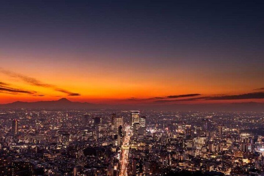 Roppongi Hills Mori Tower Observation Deck Ticket, Tokyo Japan