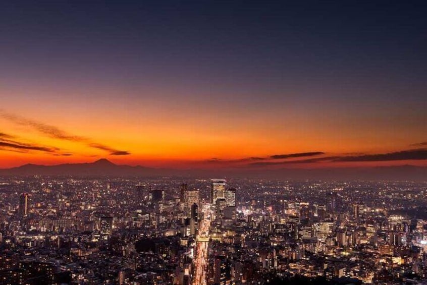 Roppongi Hills Mori Tower Observation Deck Ticket, Tokyo Japan