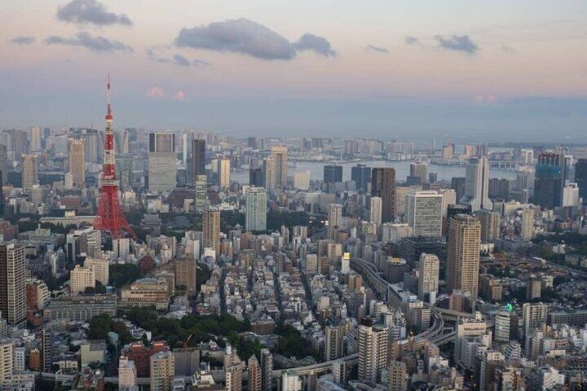 Roppongi Hills Mori Tower Observation Deck Ticket, Tokyo Japan