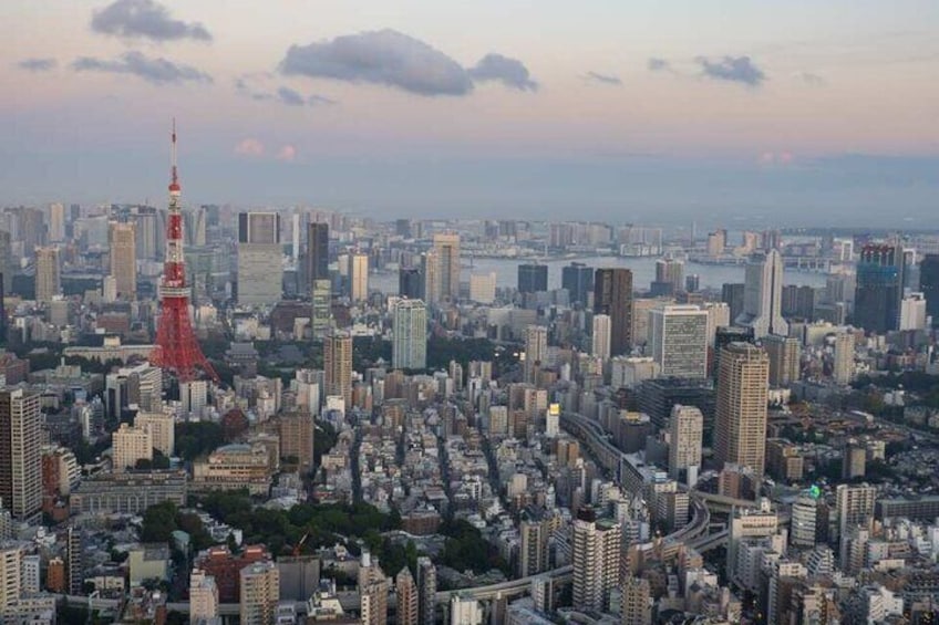 Roppongi Hills Mori Tower Observation Deck Ticket, Tokyo Japan