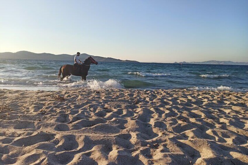 Horse Riding Experience on the Beach with Instructor