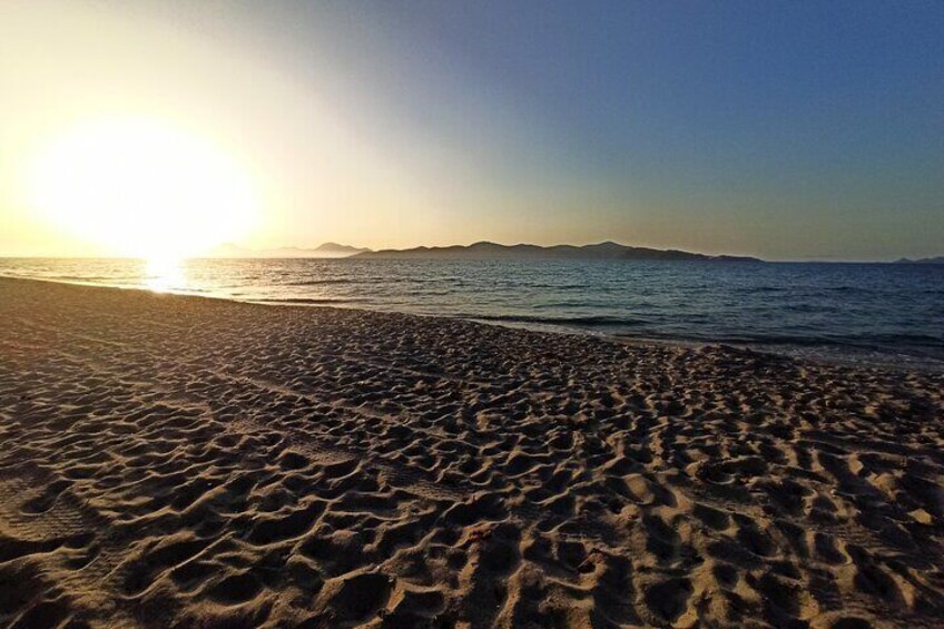 Horse Riding Experience on the Beach with Instructor