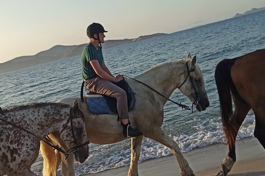 Horse Riding Experience on the Beach with Instructor