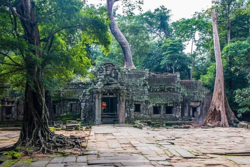 Temple of Ta Prohm