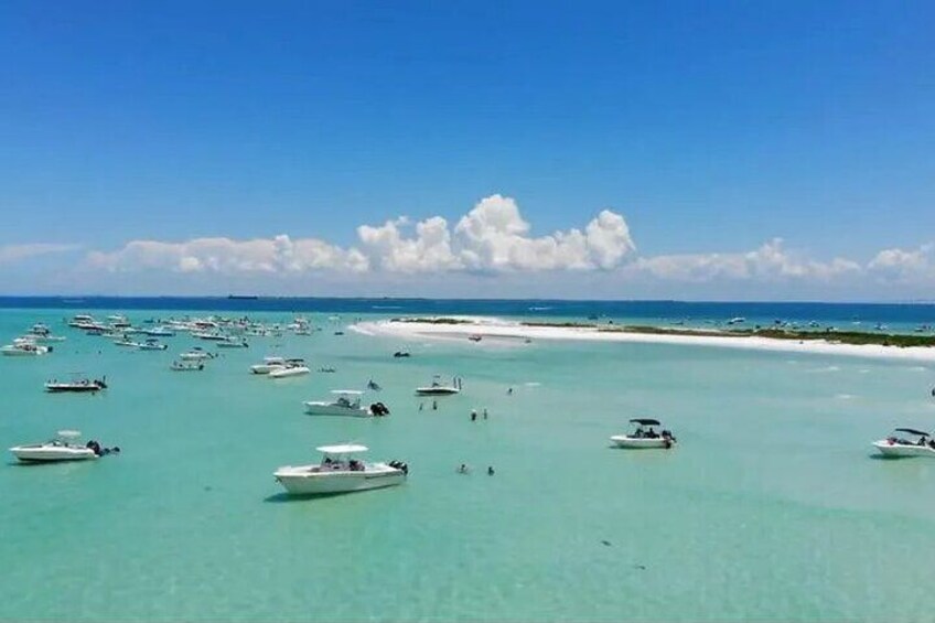 Explore Dolphins, Manatees, Sandbar Hop, Waterfront Lunch, 420 OK